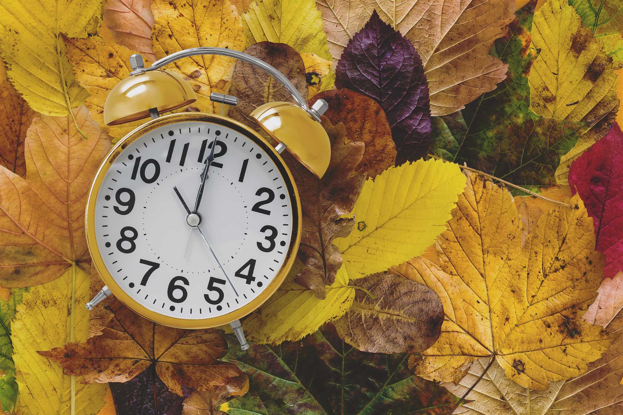 Fall back: Susquehanna Valley gets an extra hour of sleep  — WGAL 8 (Lancaster/Harrisburg/York)